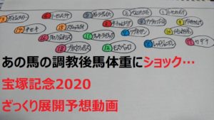 宝塚記念2020のざっくり展開予想動画！